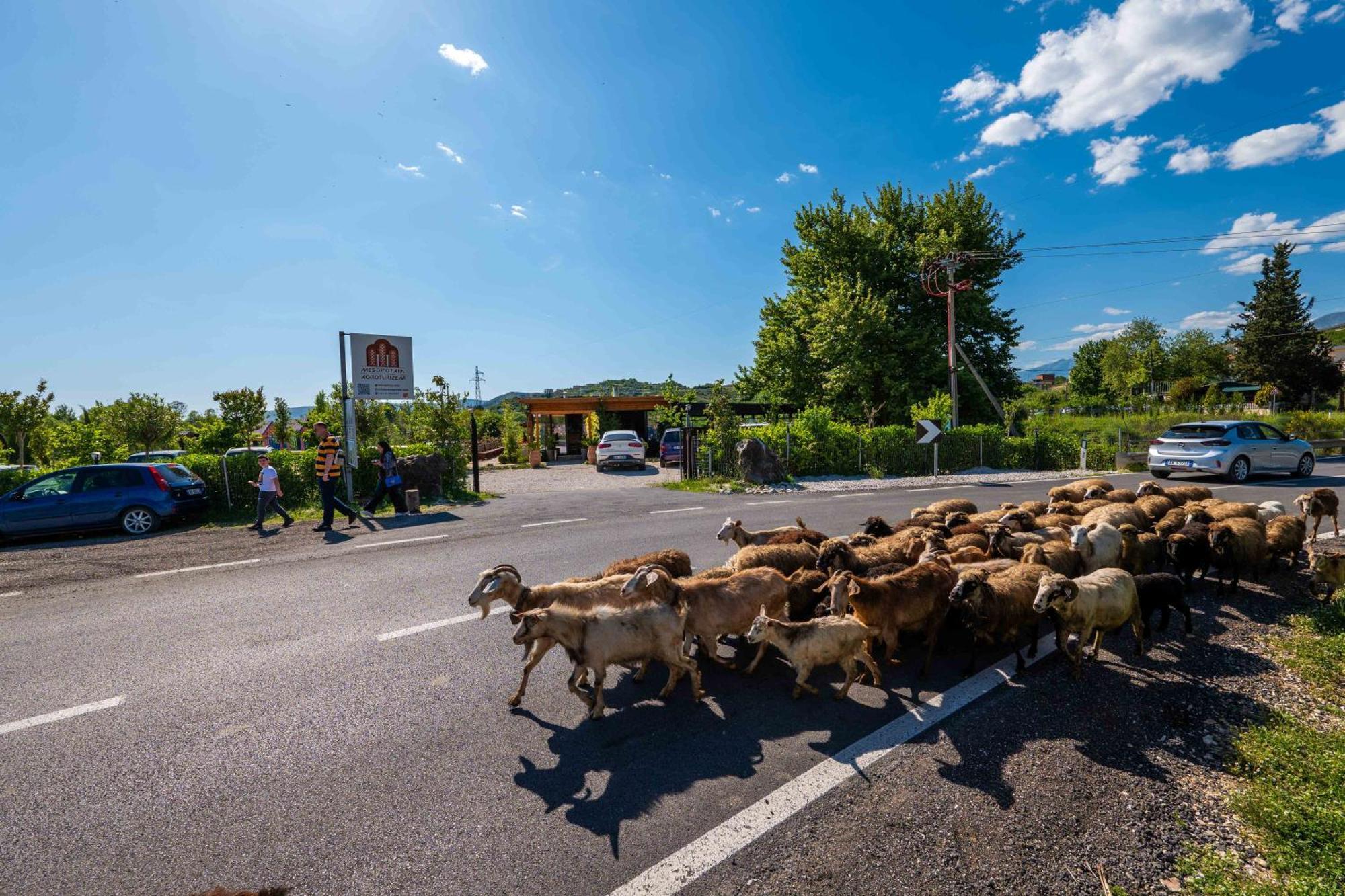 Mesopotam Agrotourism Resort Саранде Екстериор снимка